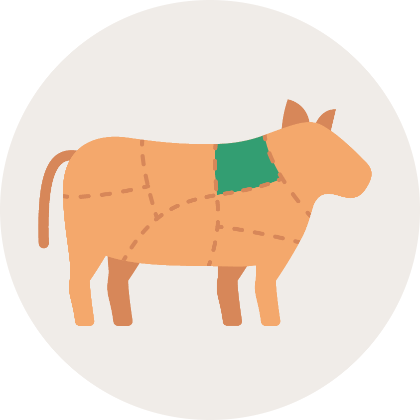 Schéma d'une vache à la coupe